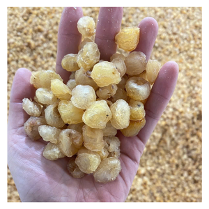Dulzura de Longan: Longan seco de las frutas más finas de Vietnam, naturalmente aromático, fácil de usar y un favorito entre los amantes de la comida - Product Image 1
