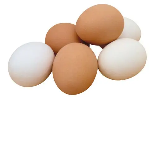 Fertilized Chicken Eggs/ Cobb 500 Broiler Chicken Eggs/Fresh Cobb 700 Fertile eggs