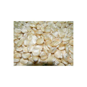 Maíz blanco de primera calidad disponible para pedidos al por mayor directamente de los productores - Product Image 4