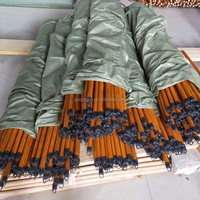 Balai en bois avec manche en PVC et poils doux, design portable, écologique, vente en gros en Chine