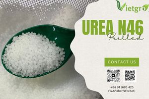 VGFert - Urée à bas prix N46% granulée pureté 100% pour l'agriculture (Marque Vietgro) - Product Image 3