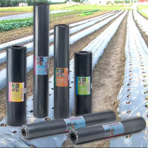 Film de paillage agricole en plastique de type extrusion, moulé par rouleaux, CENPLAS du Vietnam, haute performance - Product Image 2