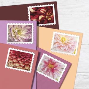 Vintage Floral Usa usado franqueo <span class=keywords><strong>sello</strong></span> pegatinas Postal Forever Stamps Post sellos recompensa pegatina para decoraciones <span class=keywords><strong>de</strong></span> boda - Product Image 6