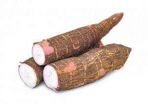 Proveedor de Yuca Fresca al Por Mayor con Envío Rápido en Venta - Product Image 6