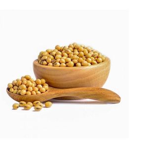 Graines de soja jaune naturelles à vendre Variété sélectionnée de qualité sans OGM idéale pour une agriculture durable - Product Image 3