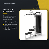 Máquina de Polea Horizontal y Remo Vertical con Pila de Pesas de 100 kg, Equipo de Gimnasio para Fortalecimiento de Espalda