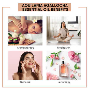 Aceite Esencial Puro de Aquilaria Agallocha al 100% para Hidratar, Aclarar, Reafirmar y Nutrir el Cuerpo, Ingrediente Orgánico de Madera - Product Image 5