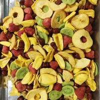 Medley Gourmet Gezonde Mix Hoge Capaciteit Jackfruit Appel Kiwi Aardbei Rode Dadels Gemengd Gedroogd Fruit