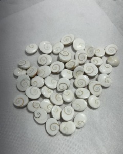 Piedra preciosa de ojo de Shiva natural Gomti Chakra Shiva Eye Precio al por mayor Piedra preciosa de concha de mar Piedra preciosa para la fabricación de joyas Shell, - Product Image 4