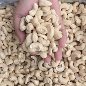 Meilleur Taux Vietnam Noix De Cajou Prix D'importation Santigo Noix De Cajou Noix De Cajou Noix De Cajou Brutes En Gros Exportés Vers L'asie, L'ue, Moyen-Orient - Product Image 1