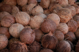 Coco entero secado al aire con cáscara y cáscara para exportación, adecuado para uso Industrial y Fabricación de Alimentos | Ms Jessi - Product Image 5