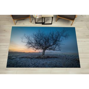 Nature Landscape Printed <b>Rug</b>: Tree Landscape, Farmhouse, Hallway,Nonwoven Soft <b>Rug</b> - Product Image 3