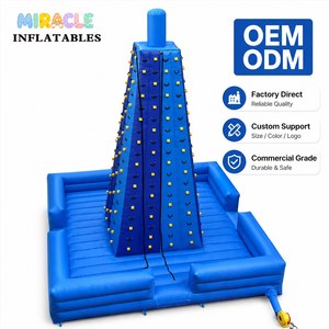 Parete d'Arrampicata Gonfiabile Commerciale con Tappeto di Atterraggio di Sicurezza per Parchi Avventura ed Eventi a Noleggio - Product Image 1