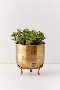 Vintage Heavy Duty <b>Bucket</b> Planters Handcrafted Heavy Duty Planter Hot Selling <b>Small</b> Tree Planter - Product Image 5