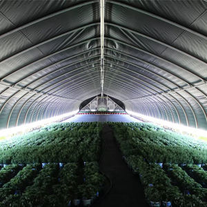 Invernadero de oscurecimiento para cultivo de hongos y cáñamo, kit completo en venta - Product Image 5