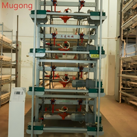 Cage à poussins de qualité supérieure en acier galvanisé à bon prix