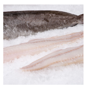 Grossiste et fournisseur de produits de la mer congelés : Hake (HGT) / Poisson entier – Meilleure qualité, meilleur prix usine, achat en gros en ligne - Product Image 5