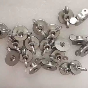 T40 T50 R-Type Thumb Nut อุปกรณ์เสริมโดรนเกษตรกรรม R-Type Thumb Nut อะไหล่ซ่อมสำหรับโดรนป้องกันพืช - Product Image 3