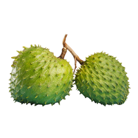 Premium Vietnamese verse zuurzak - Betrouwbare leverancier voor groothandel