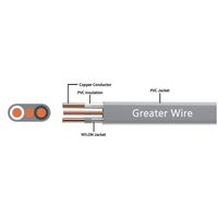 Kabel Bangunan Berisolasi PVC Tembaga Murni Berlapis Nilon Datar 600V 6/2 6/3 8/2 8/3 10/2 10/3 12/2 12/3 14/2 14/3 UF-B