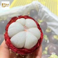 Premium Biologische Verse Mangosteen Superieure Kwaliteit Duurzaam Gekweekt Geavanceerde Verpakking Thailand Khey Taladthai Merk 1-2