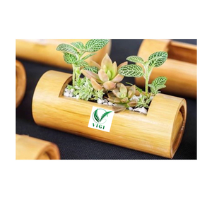 กระถางไม้ไผ่แบบแขวนรักษ์โลกดีไซน์สร้างสรรค์สำหรับพื้นที่สวนสมัยใหม่ - Product Image 1