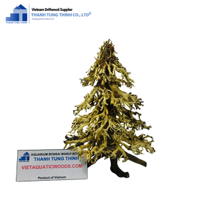 New Items - Bonsai Driftwood Aquarium Accessories Driftwood for Aquarium Decoration Made in Vietnam Wholesale - Product Image 2