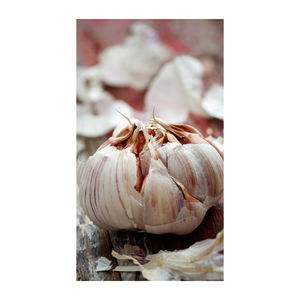 Ajo Fresco Directo de Bélgica, Precio Bajo, Stock al por Mayor, Ajo Rojo Común, 12 Meses de Vida Útil, Almacenamiento en Frío y Seco - Product Image 6