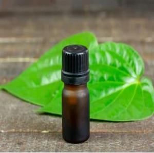 Aceite esencial de hoja de Betel natural puro 100% al mejor precio - Product Image 3