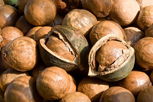 2025 nueces de Macadamia tostadas al por mayor de Austria EU-Rich Nutrition Delicious 5A 3A 2A Macs secos sin cáscara para uso alimentario - Product Image 3