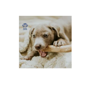 Juguete para Masticar para Perros, de Madera de Café Ecológica y Sostenible, con Sabor a Hierba Gatera, Duradero, Natural, Divertido, Marca Blue Lotus - Product Image 1