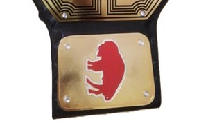 ¡CINTURONES DE CAMPEONATO PERSONALIZADOS BUFFALO BILLS SUPER BOWL! CINTURONES CAMPEONATO DE LUCHA - Product Image 3