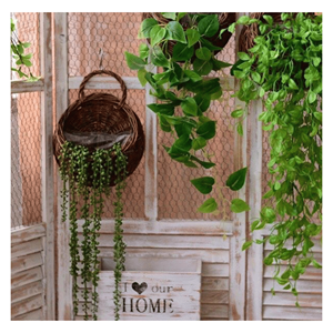 Cesta Colgante de Ratán Tejido Natural para Decoración de Cafeterías, Exhibición de Plantas y Almacenamiento en Paredes, Hecho en Vietnam - Product Image 3