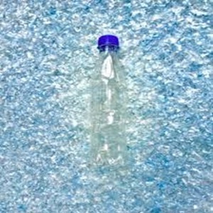 เศษขวดนมแบบเกล็ด HDPE บริสุทธิ์สำหรับใช้เป็นฟิล์มและอาหาร - Product Image 1