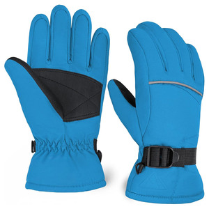 Custom Logo Windproof Waterproof Winter Warm Thermal Touchscreen Snowboarding Snow Gloves with Polyester Material for Men Women - Product Image 3