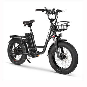 Alibaba.com上の高品質なフィロド電動自転車メーカーとフィロド電動