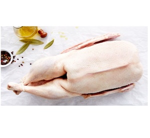 Carcasse d'oie congelée naturelle de qualité supérieure pour la restauration en gros, les restaurants, les hôtels, la restauration collective et la fabrication alimentaire - Product Image 3