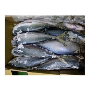 Venta al por mayor Premium IQF Todo redondo Caballa Congelada Caballa Pescado - Product Image 1