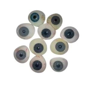OEIL PROTHÉTIQUE HUMAIN NATUREL ~ ANTIQUE ARTIFICIEL YEUX MIX GRIS SET DE 10 PCS... - Product Image 1