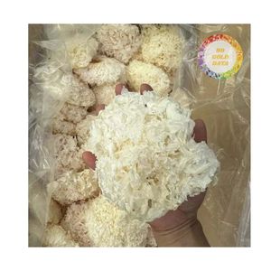 Hongo Blanco Instantáneo, Hongo Gelatinoso Blanco, Hongo Más Vendido en Vietnam, Comida Baja en Calorías para Sopa - Product Image 3