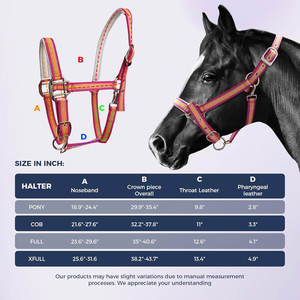 Cabestro de caballo ajustable con relleno suave Hardware de aleación de zinc Control de correas de PP para entrenamiento y competiciones - Product Image 2