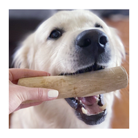 Vente en gros 100% bâtonnets à mâcher pour chien en bois de café naturel jouets à mâcher en bois d'arbre à café pour soins dentaires pour chien