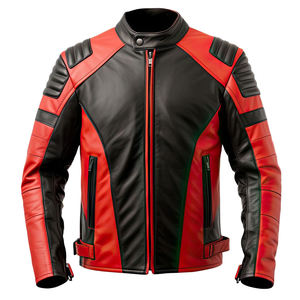 Blouson en cuir de moto unisexe coupe-vent brodé pour les marchés américain et européen, prêt pour la certification CE, vente en gros OEM - Product Image 1
