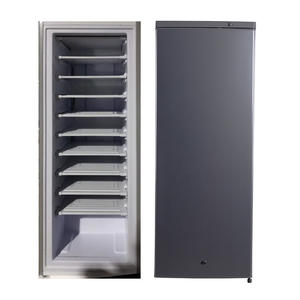 Congélateur vertical commercial 220V 198L à 10 couches intégré avec fabricant de blocs de glace solaire 70KG/jour - Product Image 1