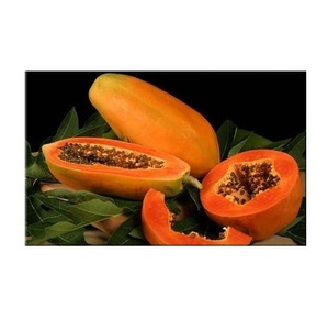 Papaya Fresca 100% Pura y Natural de Calidad, Grado A, 20 kg, Origen Portugal, al Mejor Precio al por Mayor - Product Image 1