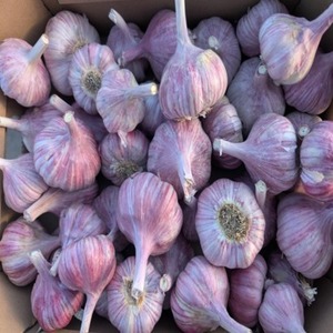 Produit populaire à succès : Ail séché et légumes séchés à prix surprise - Product Image 6