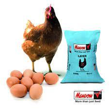 Starter grower và finsher Gà Thịt thức ăn - Product Image 2