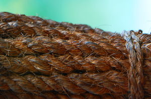 Cuerda de fibra de coco Eco Coconut Husk Twine de Vietnam para embalaje Exhibiciones minoristas Arreglos florales y proyectos artesanales creativos - Product Image 5