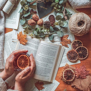 Rebanada de naranja seca al por mayor, precio más barato, rodajas de naranja seca de calidad superior hechas en Vietnam - Product Image 4