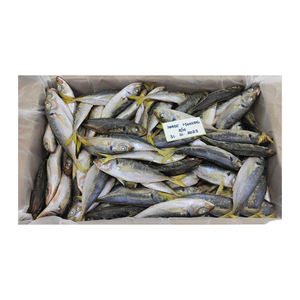 Maquereau de l'Atlantique surgelé en gros, approvisionnement en vrac, prix bas, haute qualité, qualité supérieure, faible teneur en glucides et en sucre, 10 kg - Product Image 5